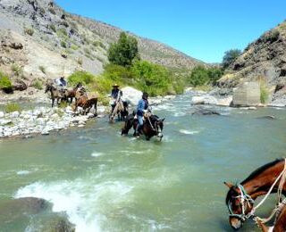 cabalgata en mendoza
